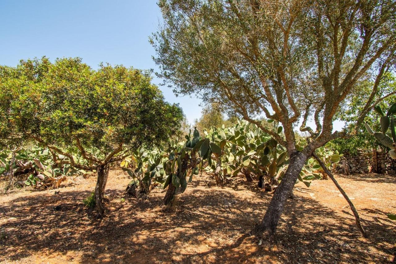 Bauernhof Son Galileu Llucmajor (Mallorca)